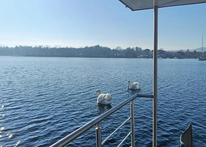 Tekne Neon Bigigio House Boat *